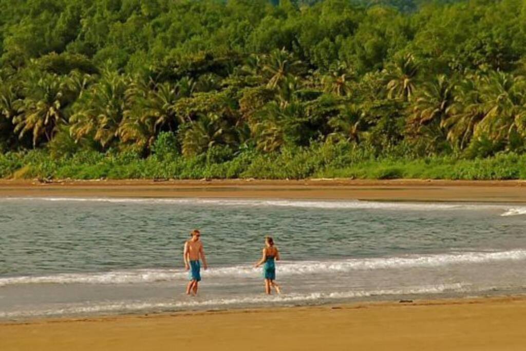 Bungalows Baobab San Isidro De El General Экстерьер фото